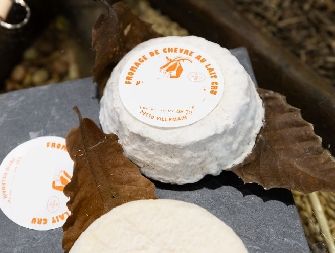 Raw milk goat cheese highlighting the diversity and quality of traditional French artisanal cheeses.