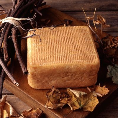PDO Maroilles cheese displayed on a rustic wooden board surrounded by dried leaves, showcasing the heritage of Northern France’s cheese-making tradition.