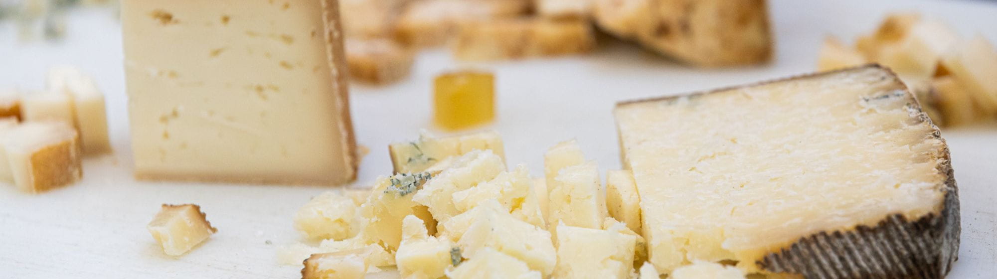 Close-up of assorted artisanal cheeses