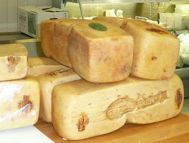 Ragusano