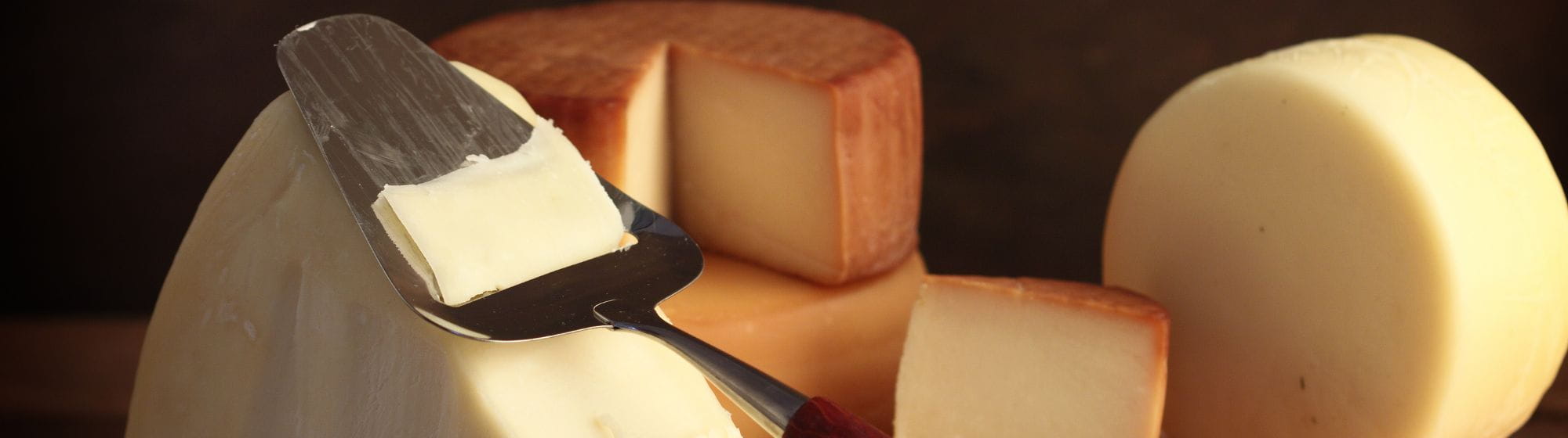 PDO cheese tour across United Kingdom