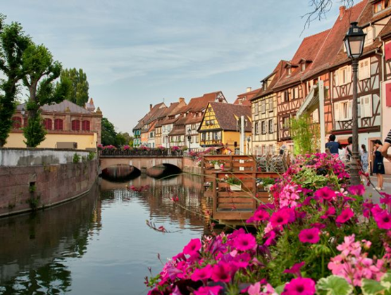 Canal bordé de maisons à colombages colorées avec un petit pont et des fleurs au premier plan.