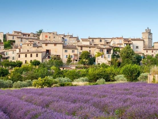 Village provençal avec maisons en pierre surplombant un champ de lavande en fleurs.