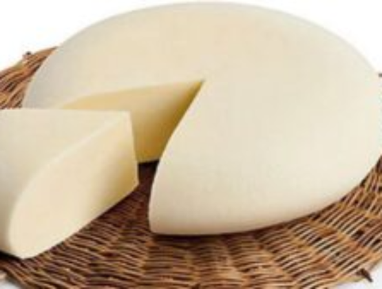morceau de fromage sur dessous de plat circulaire sur fond blanc