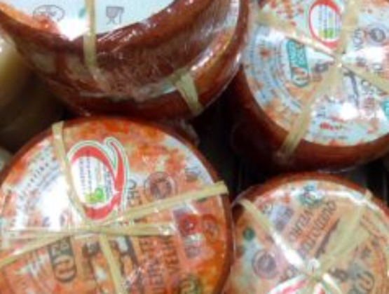 Portuguese Terrincho DOP cheeses wrapped in an orange rind, with colorful labels and secured with raffia ties.