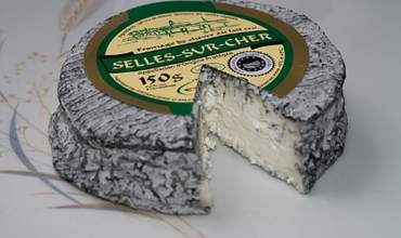 morceau incomplet de selles sur-cher sur fond blanc