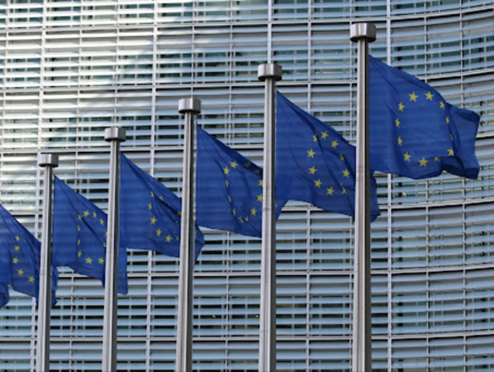 Drapeaux européens alignés devant un fond bariolé