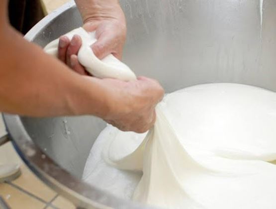 fromage en processus de filage 