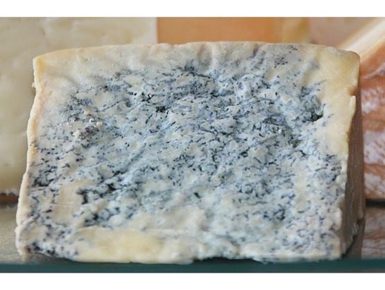 Morceau de fromage en gros plan 