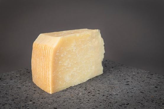 1955 Pecorino