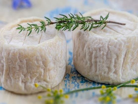 Deux petits fromages de chèvre ronds à croûte blanche, posés côte à côte, avec une branche de romarin sur le dessus.