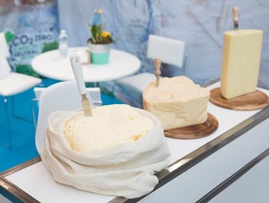 Présentation de fromages artisanaux sur un stand d’exposition, avec de grandes meules et blocs de fromage à pâte molle et dure, chacun équipé d’un couteau, disposés sur un comptoir blanc dans un environnement de salon professionnel.