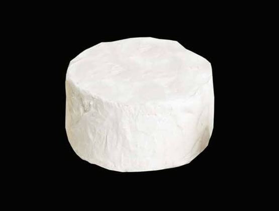Fromage rond à pâte blanche présenté sur un fond noir.