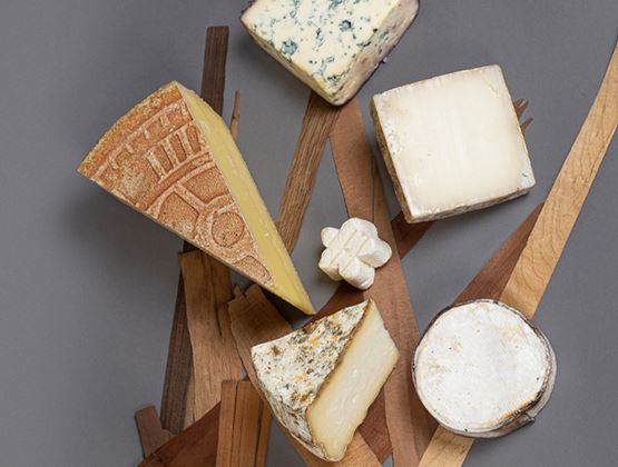Assortiment de fromages disposés sur des morceaux de bois, avec différentes textures et formes.