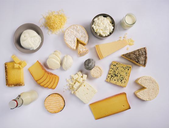 Assortiment de fromages et de produits laitiers disposés sur fond blanc, avec des pâtes molles, pâtes pressées, fromages bleus, lait et fromage frais.