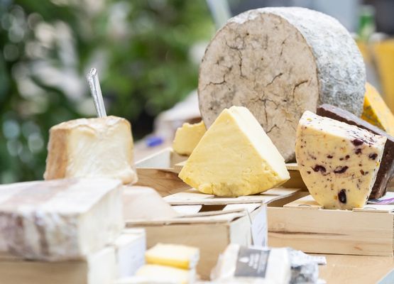 fromages